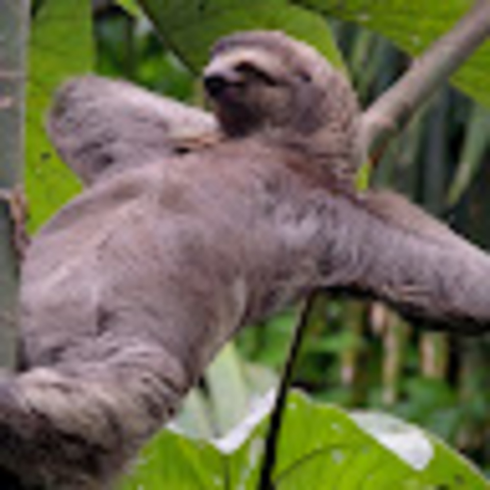 Meet your Posher, Shannon